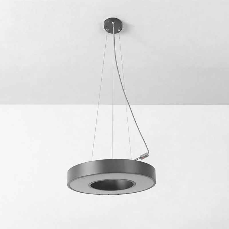 LED Pendant Ring Ceiling Light Modern Metal Acrylic
