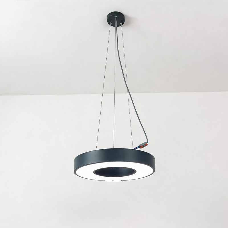 LED Pendant Ring Ceiling Light Modern Metal Acrylic