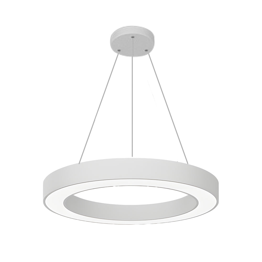 LED Pendant Ring Ceiling Light Modern Metal Acrylic