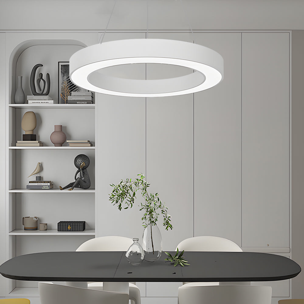 LED Pendant Ring Ceiling Light Modern Metal Acrylic
