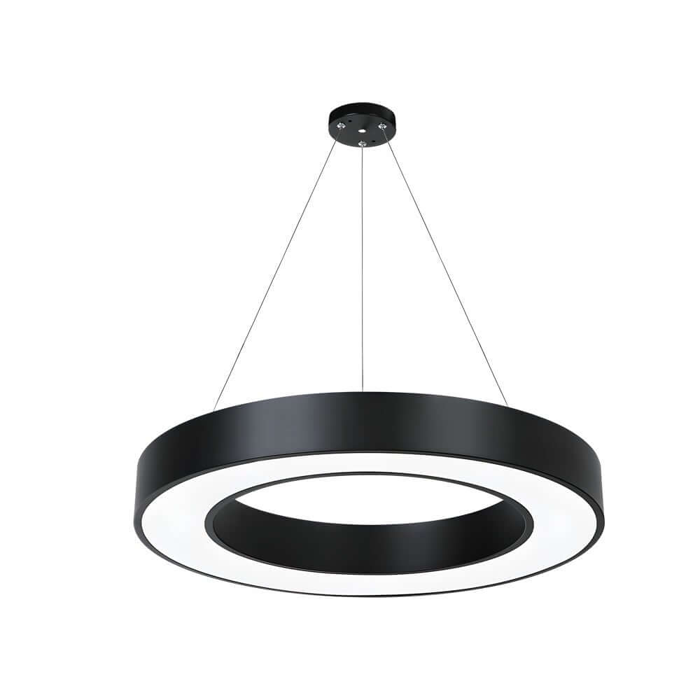 LED Pendant Ring Ceiling Light Modern Metal Acrylic