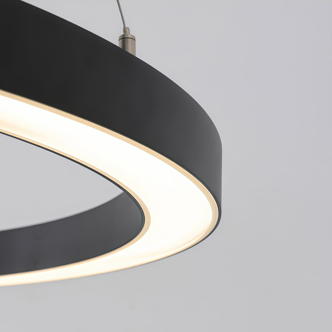 Oval Chandelier Modern Metal LED Office Ceiling